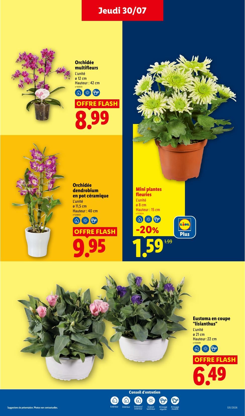 Catalogue Lidl · du 23 juillet 2026 au 5 août 2026 — page 29
