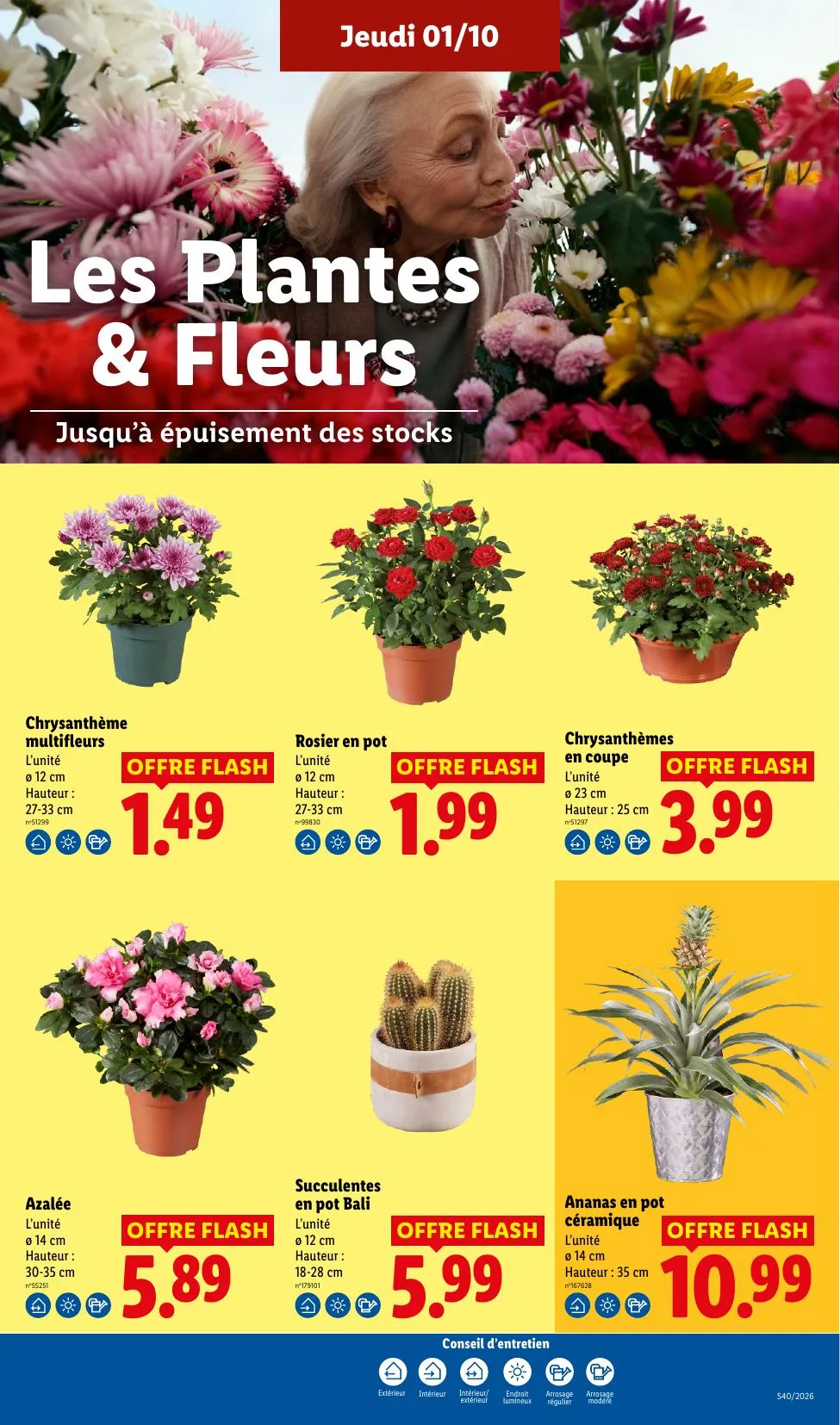 Catalogue Lidl · du 24 septembre 2026 au 7 octobre 2026 — page 29