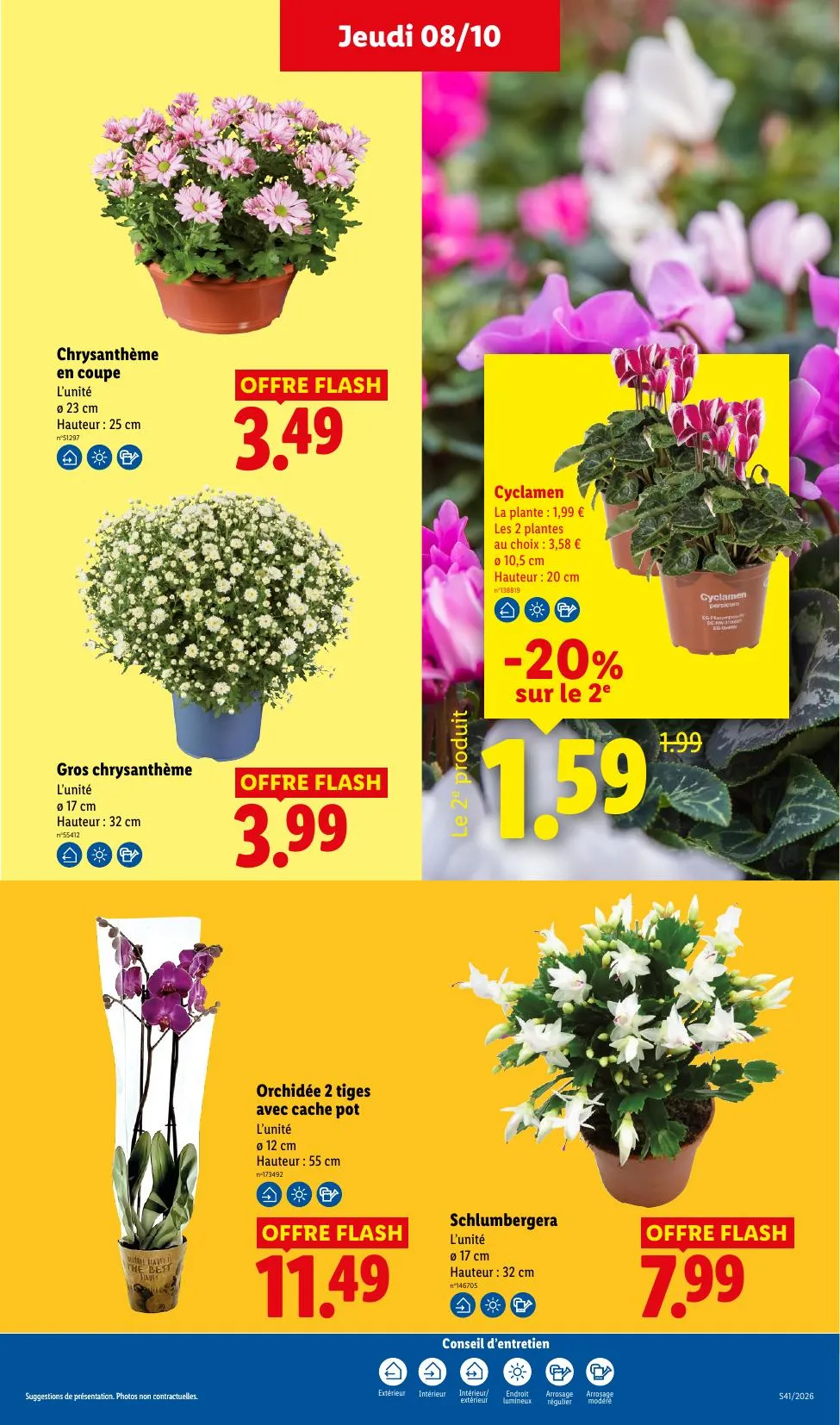 Catalogue Lidl · du 1 octobre 2026 au 14 octobre 2026 — page 29