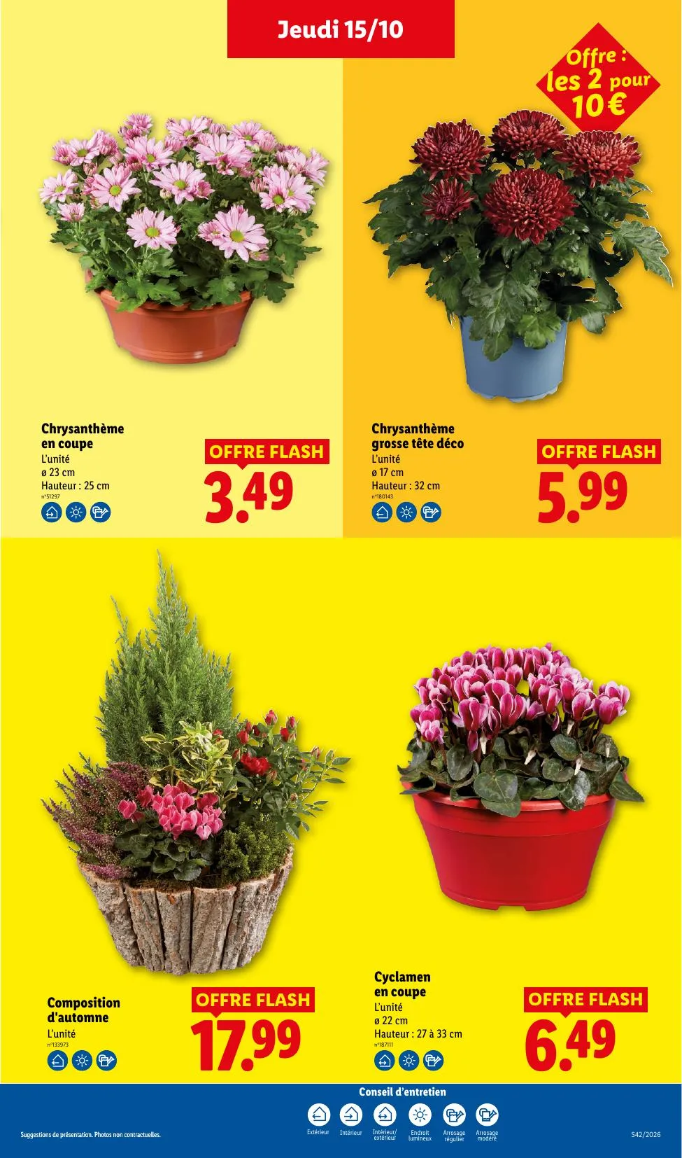 Catalogue Lidl · du 8 octobre 2026 au 21 octobre 2026 — page 41