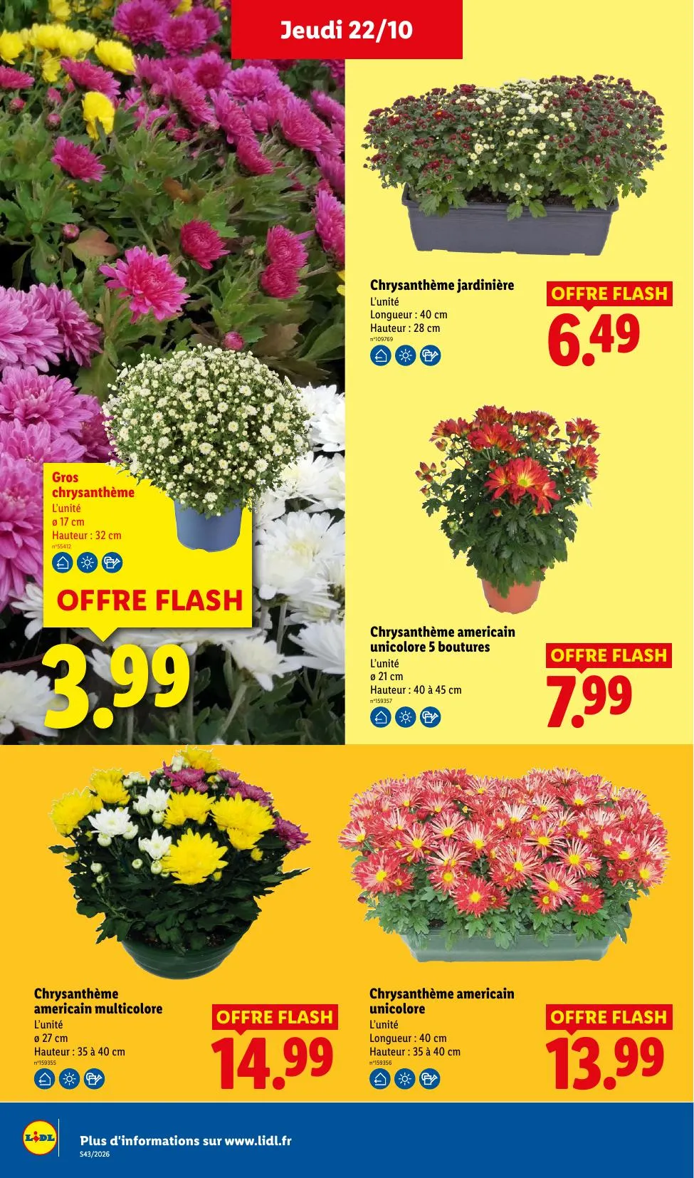 Catalogue Lidl · du 15 octobre 2026 au 28 octobre 2026 — page 33