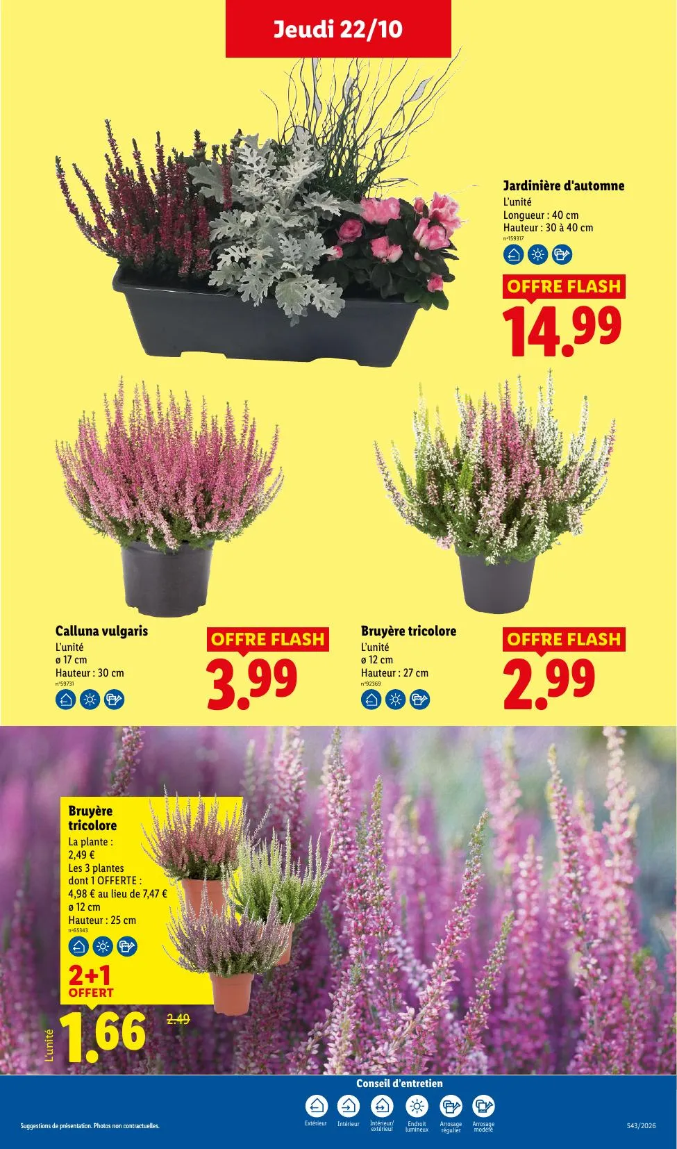 Catalogue Lidl · du 15 octobre 2026 au 28 octobre 2026 — page 34