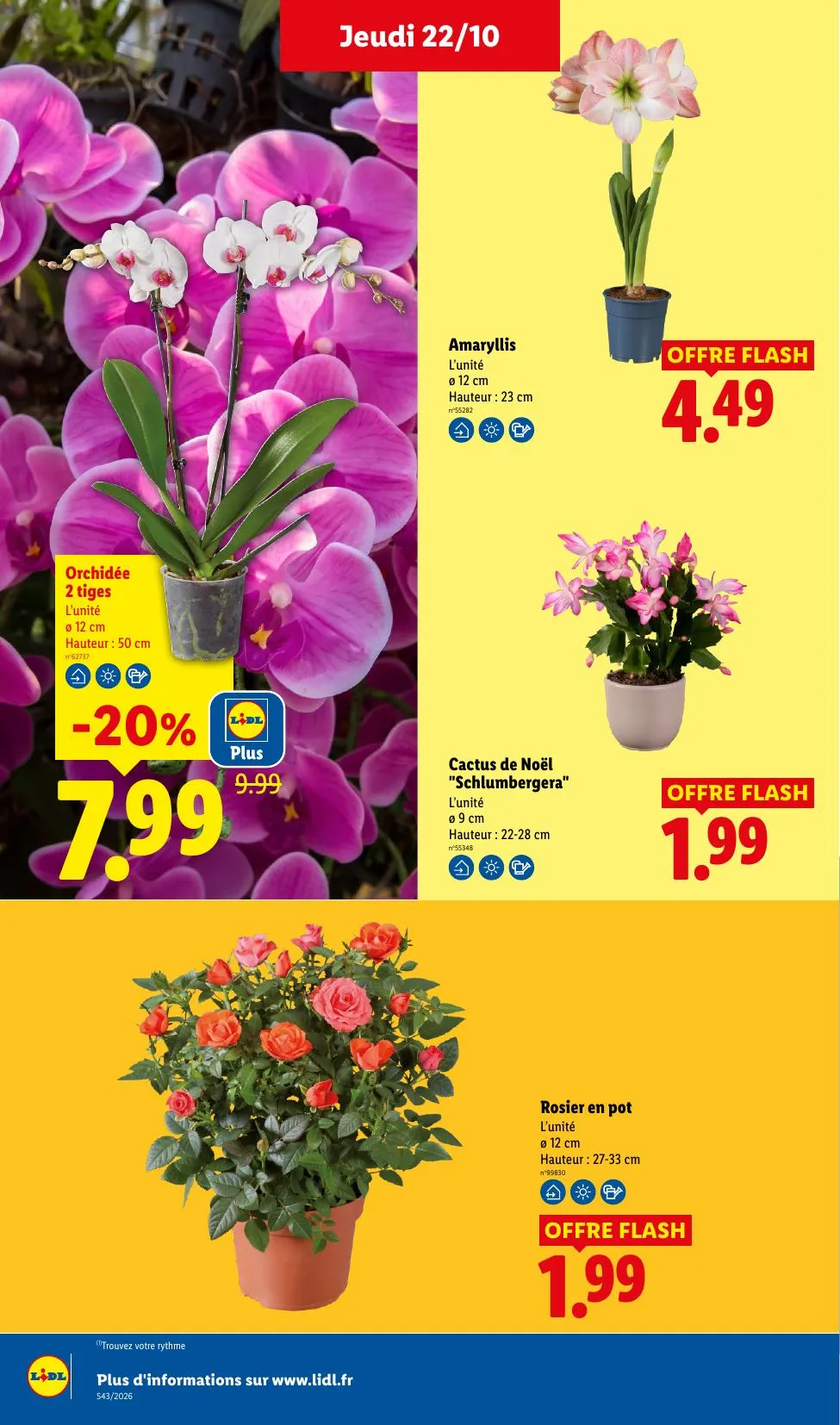 Catalogue Lidl · du 15 octobre 2026 au 28 octobre 2026 — page 35