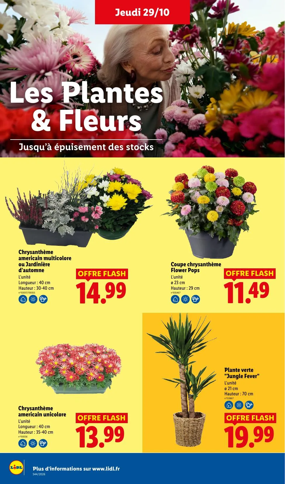 Catalogue Lidl · du 22 octobre 2026 au 4 novembre 2026 — page 32