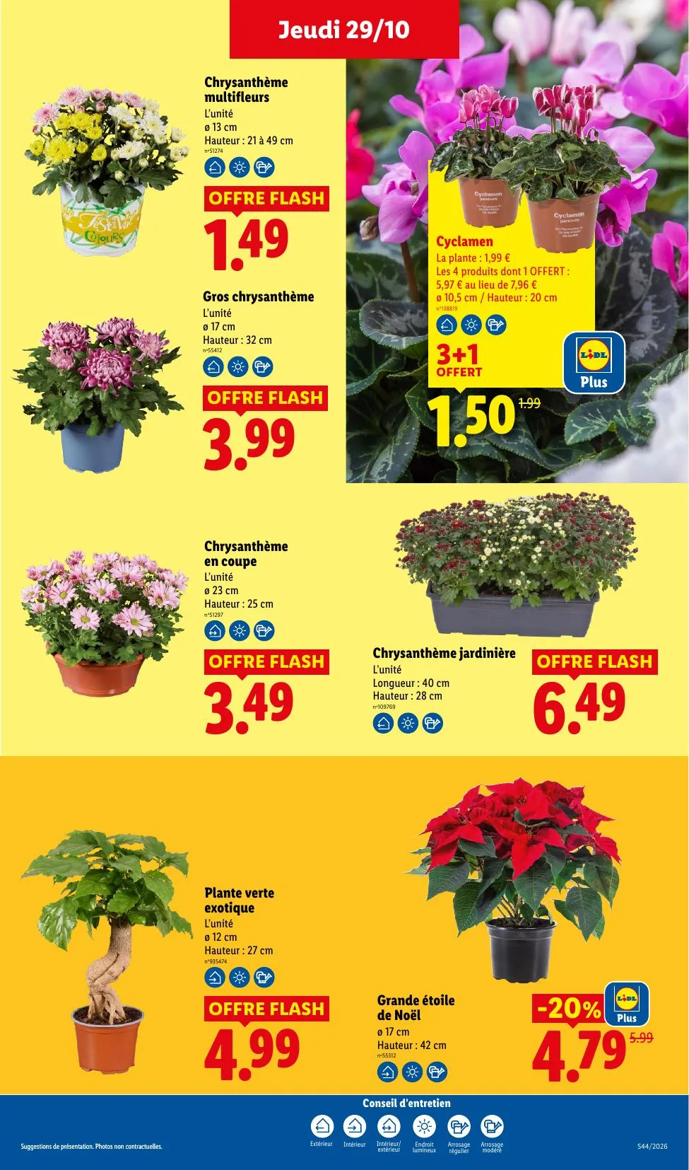 Catalogue Lidl · du 22 octobre 2026 au 4 novembre 2026 — page 33
