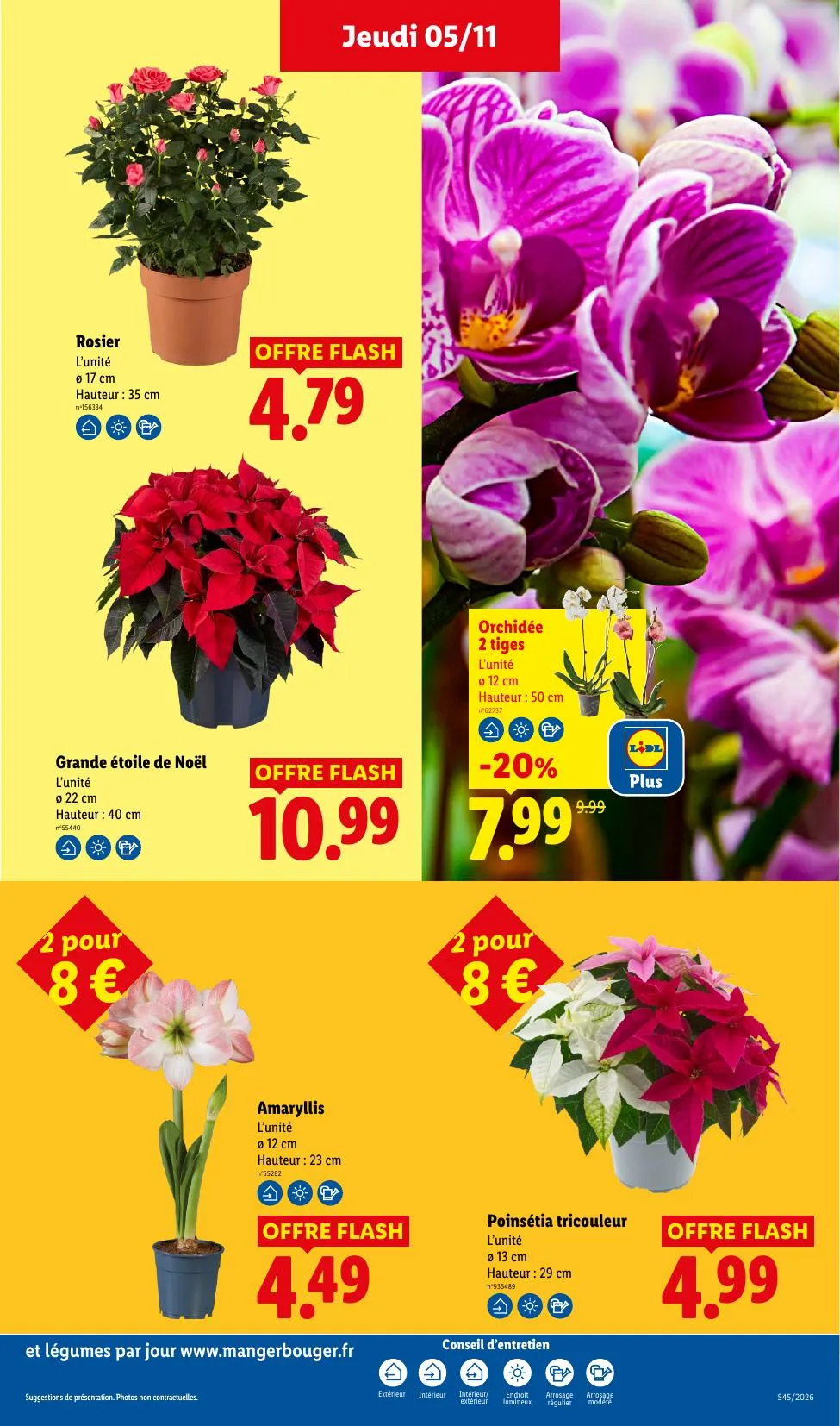 Catalogue Lidl · du 29 octobre 2026 au 11 novembre 2026 — page 31