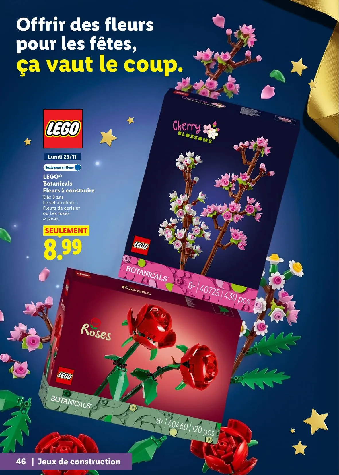 Catalogue Lidl · du 29 octobre 2026 au 27 décembre 2026 — page 46