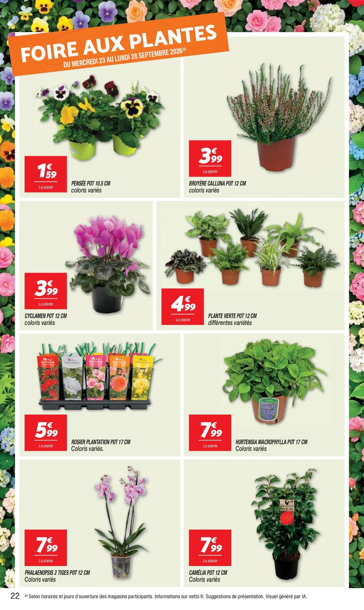 Catalogue Netto · du 15 septembre 2026 au 28 septembre 2026 — page 22