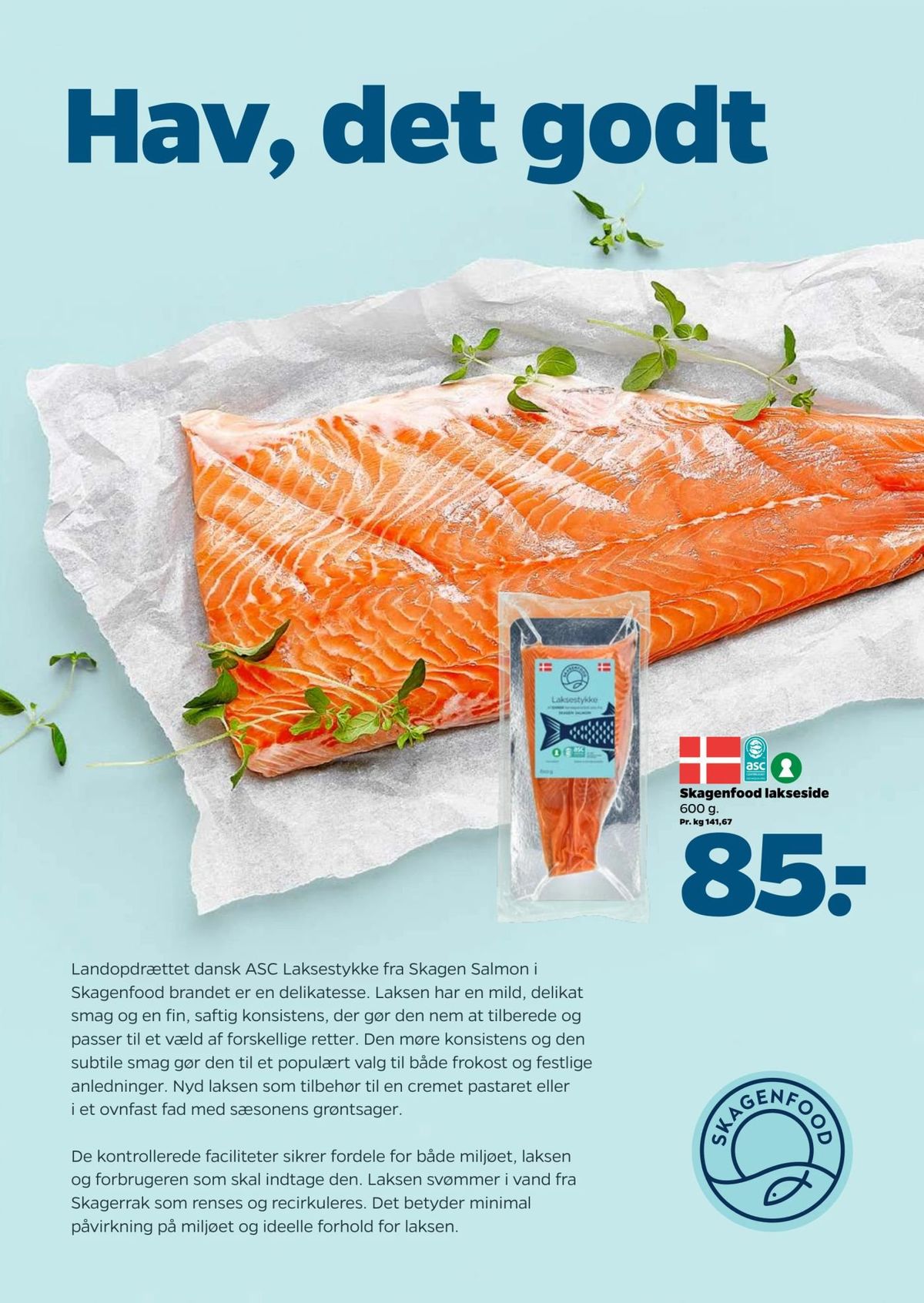 Netto-avisen · 22.–28. august 2026 – side 13