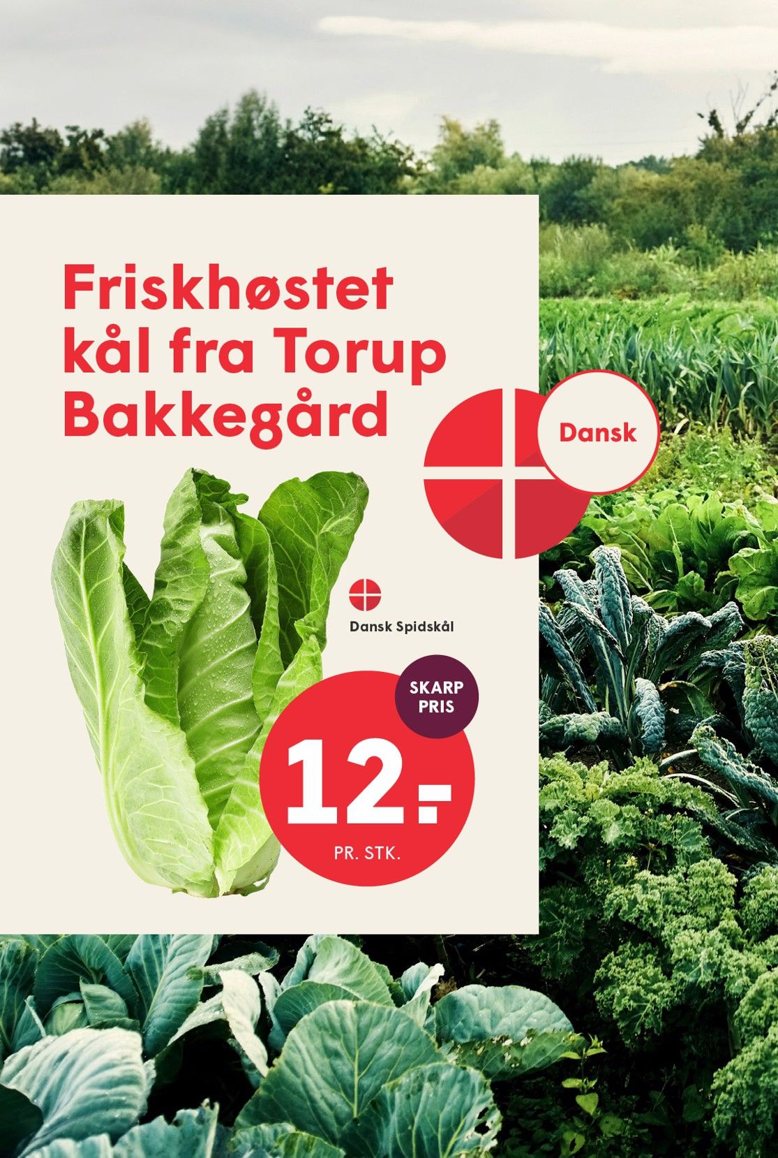 SPAR Ugens avis · 11.–17. september 2026 – side 10