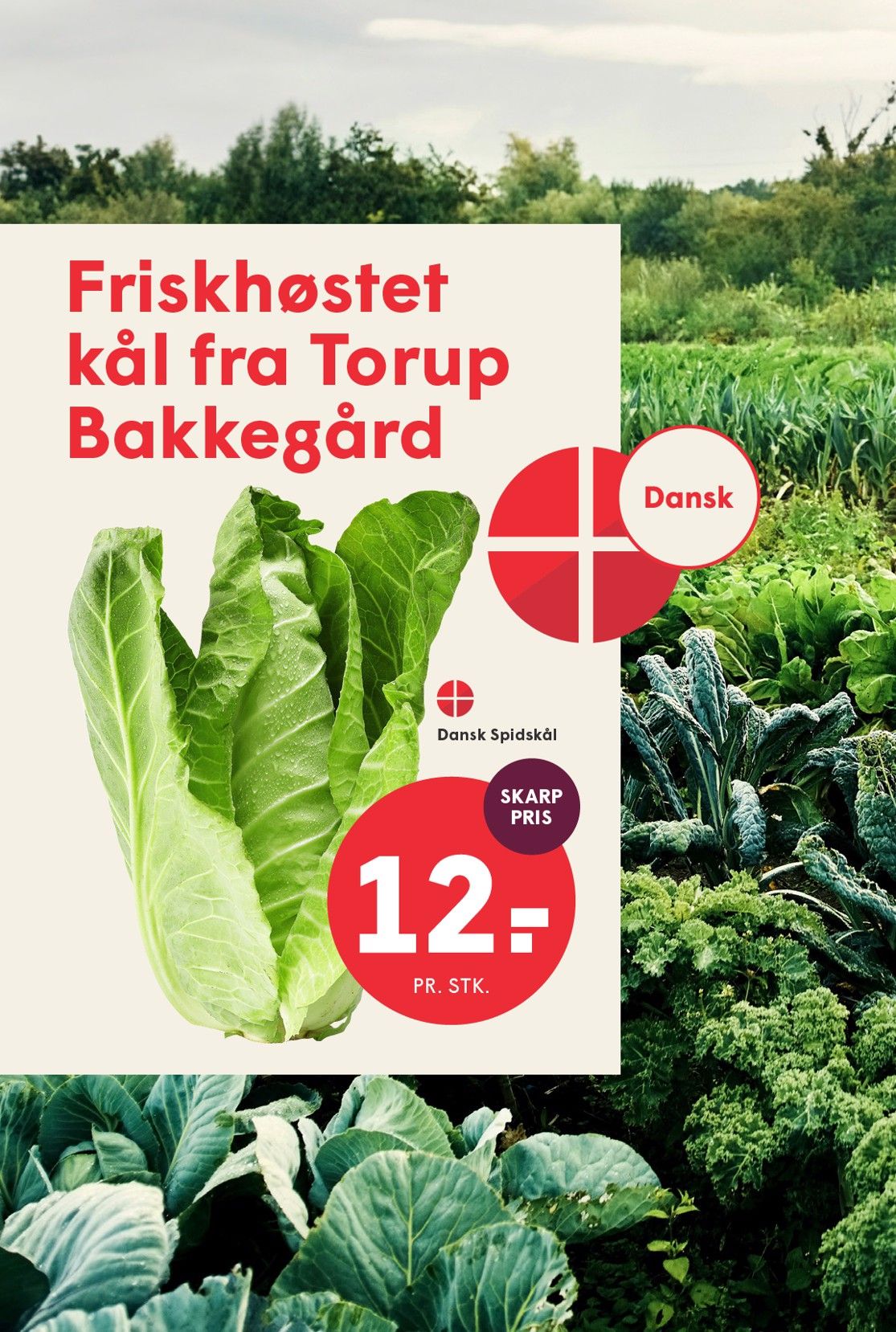 SPAR Ugens avis · 7.–13. august 2026 – side 11